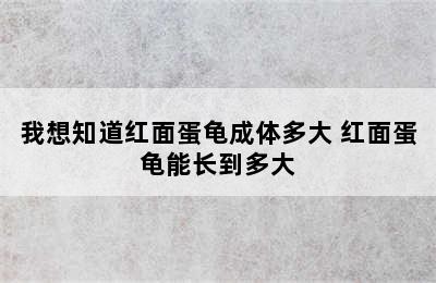 我想知道红面蛋龟成体多大 红面蛋龟能长到多大